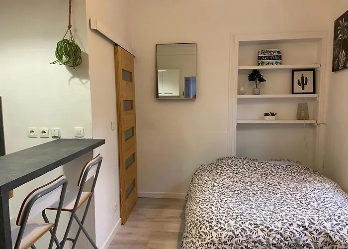 Appartement Cosyrouen Gare Rouen